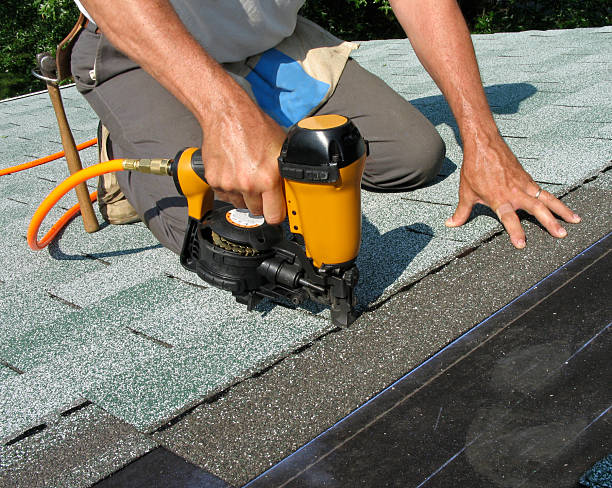 Best Roof Gutter Cleaning  in Volga, SD